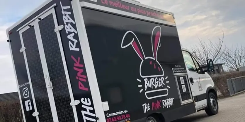 The Pink Rabbit