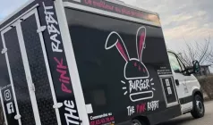 The Pink Rabbit
