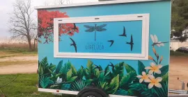 Le voyage de la Libellule