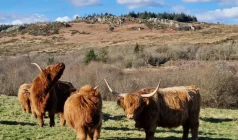 Roc'h Highland