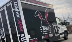 The Pink Rabbit